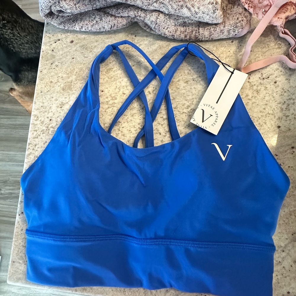 Vine Active Blue Sports Bra